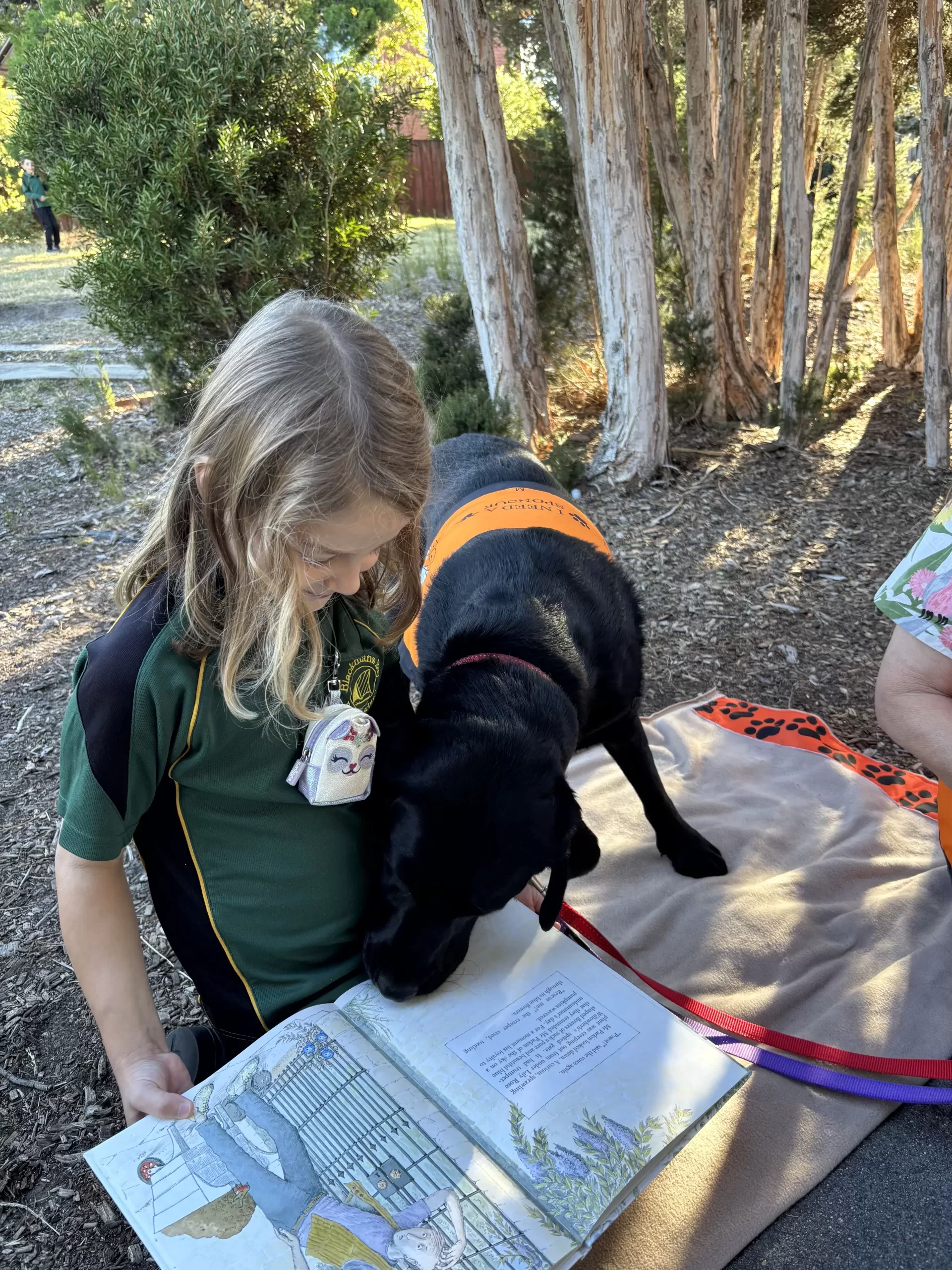 Variety grant, Story dogs at a Tasmanian school